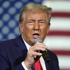 Большинство американцев поддерживают миграционную политику Трампа