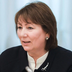 The former head of the Supreme Court was suspected of experience forgery