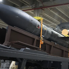 Українські ракети «Фламінго» на установці