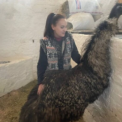 Страус у сумському зоопарку, привезений ЗСУ з Курщини