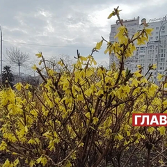 Солнечная облачность над пейзажем