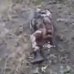 Удержание террористов взгляд на расстрелы в Покровске