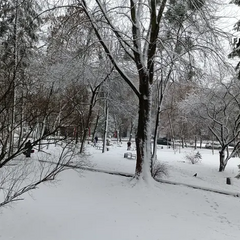 Снігопад у Львові (фото)