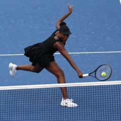Venus Williams on the Roland Garros court