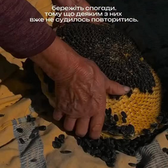 Пенсия украинцы