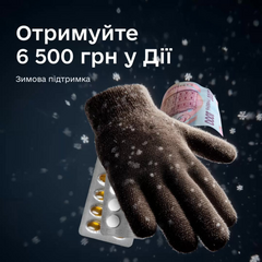Зимова виплата 6500 грн: хто має право отримати гроші через Дію