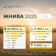 Урожай зерна в Україні: понад 50 мільйонів тонн
