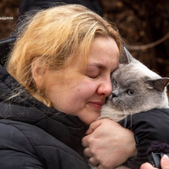 Коты найдены среди руин
