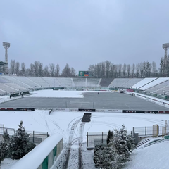 Футбольне поле на стадіоні Україна