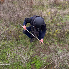 Саперы Винниччины разминируют Херсонщину