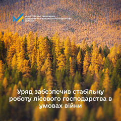 Лісовпорядкування в умовах війни