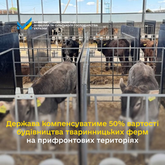 Правительство увеличило компенсацию за строительство ферм на 50%