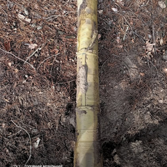 Сапери знешкодили протитанкову ракету на Київщині