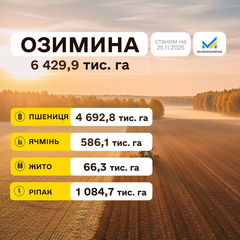 Українські аграрії на полі