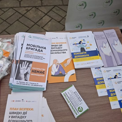 Домашнє насилля: понад 2 тисячі випадків