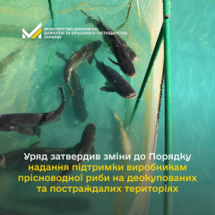 Рибні господарства на деокупованих територіях