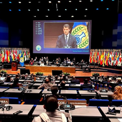 Photo of weapons in a laboratory in The Hague