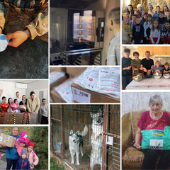 Майже мільйон гривень зібрано на ярмарку