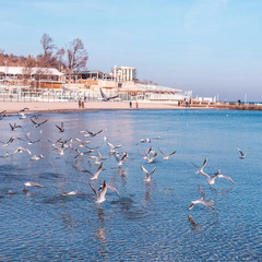 Побито температурний максимум в Одесі