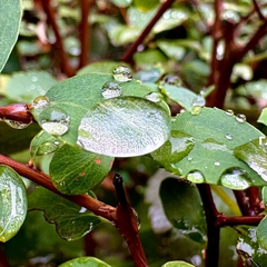 Погода на 4 жовтня 2025