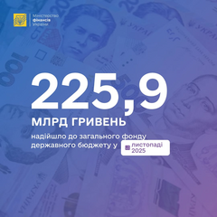 До бюджету надійшло 225 мільярдів: розподіл податків