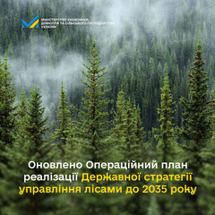 План управління лісами до 2035 року