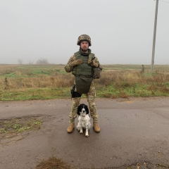 Службові собаки розміновують Херсонщину: історії Шеррі та Річарда