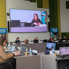 Україна та ЄС - обговорення повернення дітей