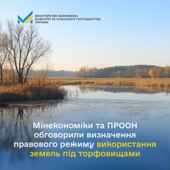 Торфове болото в Україні