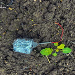 Сапери ДСНС знищили 4 вибухонебезпечні предмети