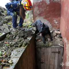 Під час рятувальних робіт у Сумах