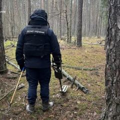 Саперы обезвредили 10 взрывоопасных предметов