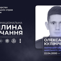 Герой-сапер Кулинич очищал Донетчину