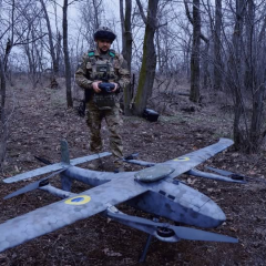 Боевые действия на Покровском направлении