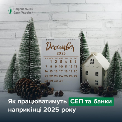 Графическое изображение о работе СЕП в Новый год