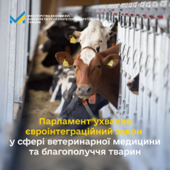 Верховна Рада голосує за ветеринарний закон