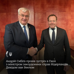 Сибіга та ван Веел у Гаазі