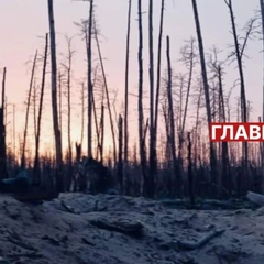 Украинские бойцы воюют в лесу