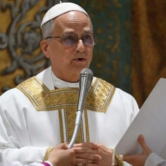 Папа Лев XIV виклав своє бачення