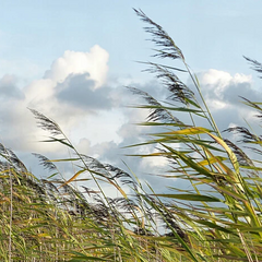 Штормовое предупреждение в Украине