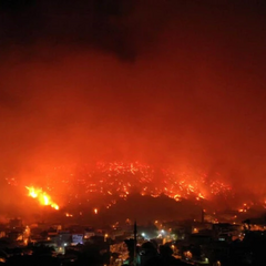 Лесные пожары в Турции