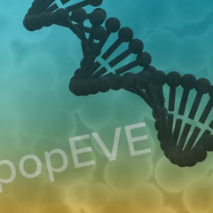 Штучний інтелект для діагностики генетичних захворювань