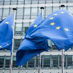 Войска КНДР выводятся из России