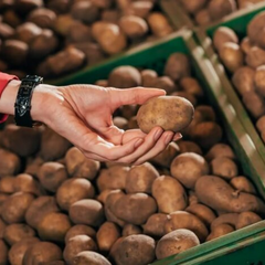 Графічне порівняння цін на овочі