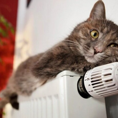 Україна не готова до зими