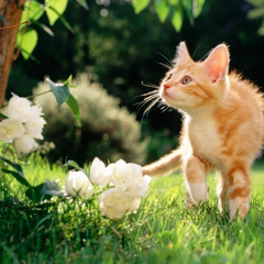 Синоптик Діденко попереджає про антициклон в Україні