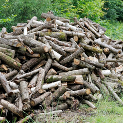 Дрова для опалення вже продаються