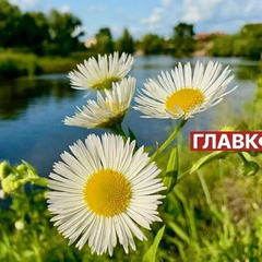 Близький до рекордного стрибка температури