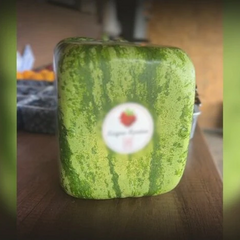 Фермер вирощує квадратні кавуни