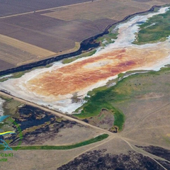 Вода перетворилася на сіль в Одещині